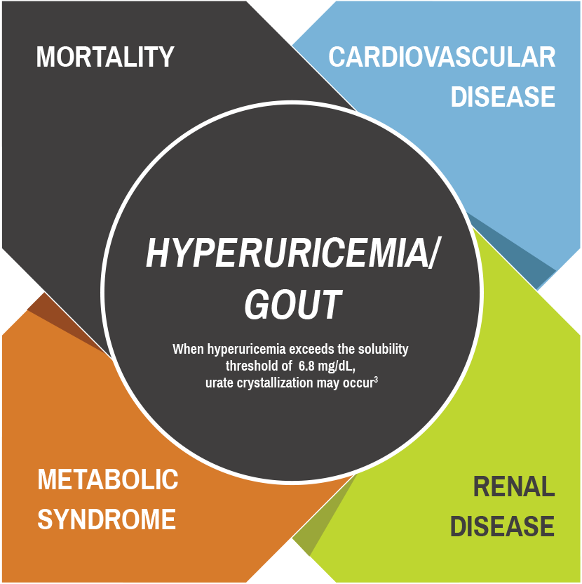 Graphic of comorbidities showing the association between hyperuricemia and gout and heart disease, kidney disease, metabolic syndrome and mortality 